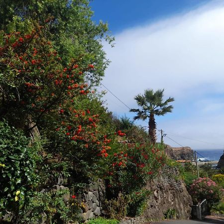 סנטנה Paraiso Resiliente מראה חיצוני תמונה
