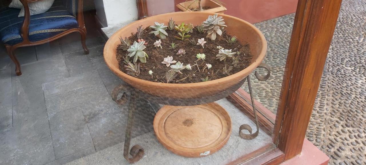 סנטנה Paraiso Resiliente מראה חיצוני תמונה
