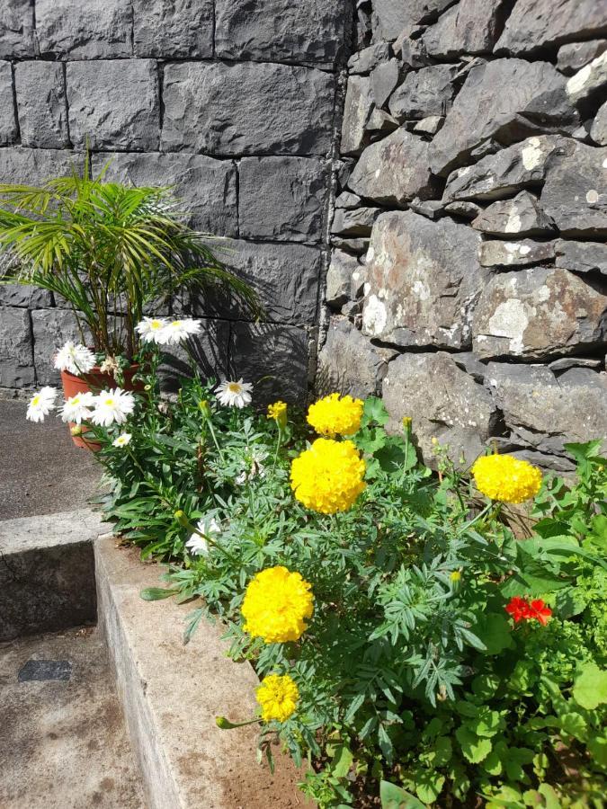 סנטנה Paraiso Resiliente מראה חיצוני תמונה